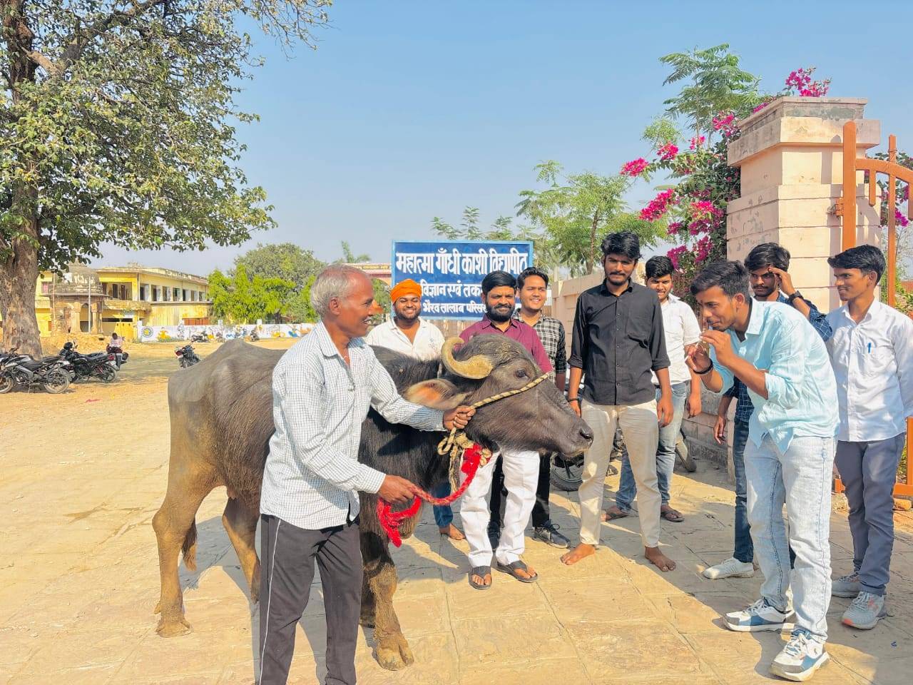 News Image